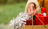 Holiday Shopping