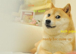 Memes Doge