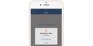 box touchid