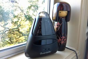Guardzilla