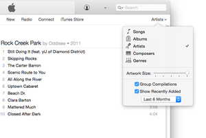 itunes 12 views