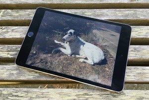 ipad mini 4 primary