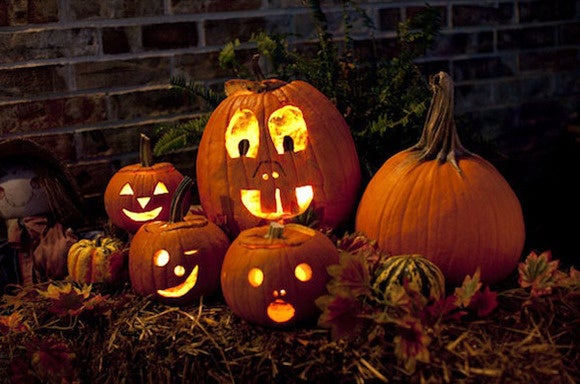 pumpkins halloween