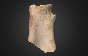 chinese oracle bone 3d printed