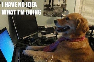 tech support primary