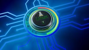 linux security lick public domain