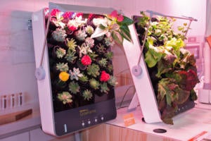 Opcom GrowFrame
